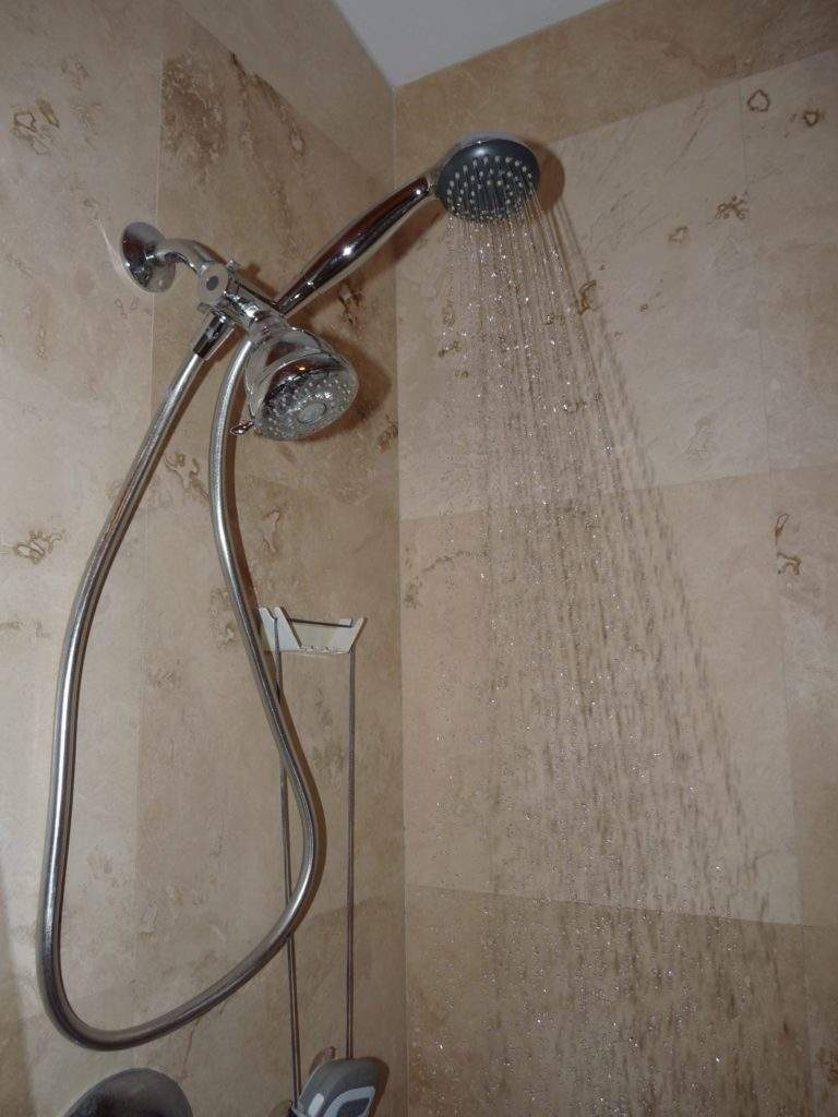 Rejuvenator showerhead